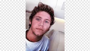 We are a sub focused on discussing men's hair styling and giving advice to those looking to change their hairstyle. Niall Horan Beard One Direction Facial Hair Designer Stubble Beard Face People Zayn Malik Png Pngwing