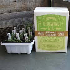 Indoor herb garden projects for small spaces. Indoor Medicinal Herbal Tea Herb Garden Starter Basic Kit 6 Non Gmo Varieties Seeds Chamomile Lavender Lemon Mint Calendula Echinacea Yarrow Walmart Com Walmart Com