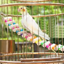 Bird Cage Seed Catcher Australia 4 Styles Small Birds Toys Pet Toy Accessories Bird Toys Pet Birds Parrots Cockatiel Toys