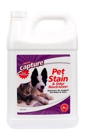 Bissell Professional Pet Stain And Odor Oxy Pin On Cat Litter And Housebreaking