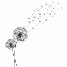 Tatouage Fleur De Pissenlit Elegant Silhouettes De Pissenlit Emballer Pinterest Le Concepts D Une Maison E Tatouage Pissenlit Tatouage De Pissenlit Pissenlit