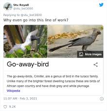 These are all actors, actresses, singers, etc who are all known by one name. 28 Bird Species With The Silliest Names Ever Bored Panda