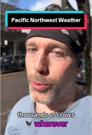 ROBERT [WES] LEY MASON (@rwesm)