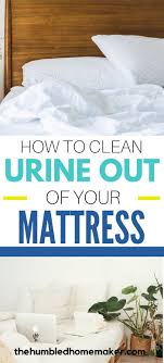 The Best Way To Clean Pee Out Of A Mattress In 2020 Pee Stains Pet Stains Urinal
