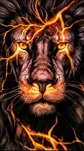 Pinterest Deutschland Lion Live Wallpaper Lion Wallpaper Lion Pictures
