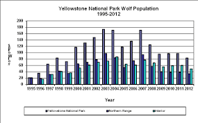 how many wolves are in yellowstone my yellowstone park