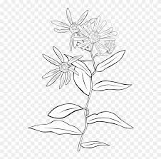 Check spelling or type a new query. Plant Cell Shrub Botany Label The Parts Of Plants Clipart 16635 Pikpng