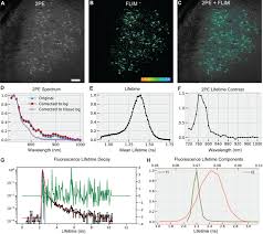 Image result for True Gold 1990 Tracer