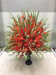 Hoa lay ơn vốn là loài hoa đẹp và rực rỡ được nhiều người yêu thích, loài hoa này cũng khá thích hợp để trưng bày ngày tết. Binh Lay Æ¡n Nghin Tay Nghin Máº¯t Cá»§a Chang Trai Ha Ná»™i Vnexpress Ä'á»i Sá»'ng