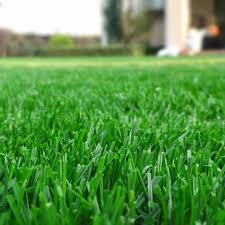 Before this, i had always lived in. Benefits Of Lawn Care For Seniors Green Lawn Fertilizing