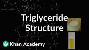 Molecular Structure Of Triglycerides Fats Video Khan
