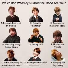Pin On Harry Potter Meme S