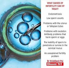 Dr Hrishikesh Pai On Twitter Here Are The Causes Of Infertility That Ivf Can Treat Book An Appointment Today At Bloom Ivf Clinic Bloomclinic Ivfmumbai Ivfindia Bloomclinicmumbai Gynaecologist Fertilityexpert Fertilityexpertindia Best ivf clinic in delhi ncr,india backed by the most trusted & experienced team including advanced & top class infertility specialists near you. twitter