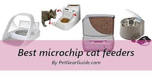 4.1 the best automatic cat feeder overall: Top 7 Best Dog Proof And Microchip Cat Feeders For Multi Pet Homes 2020