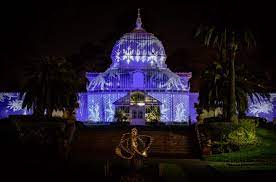Use #shareyourconservatory or tag us @conservatoryofflowers for a chance to be featured on our instagram. Sf S Epic Night Bloom Light Show Final Day
