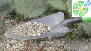 Hi, ich bin crassula ovata. Kakteengarten Richtig Anlegen Fur Winterharte Kakteen Welcher Standort Substrat Meinelandzeit Youtube