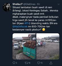 Apakah yang mengelola perkebunan kelapa sawit terbesar? Harga Sawit Jatuh Sehingga Rm185 Setan Menyusahkan Rakyat