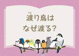 渡（わた）り鳥はなぜ渡る？：鳥のヒミツをときあかせ4 | バードコラム | バードブランチプロジェクト | Canon Global