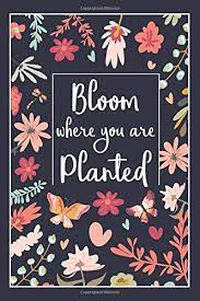 One way you can usually tell if you need to treat the text outside the quotes as an attribution is to remove the dialogue, and see if what remains can stand alone 4075966 you know what, don't, the fact that you're not telling means it probably isn't, in which case. Bloom Where You Are Planted Inspirational Quote Journal For Women Women S Writing Journal With Blank Pages And Inspirational Quotes Throughout Inspirational Journal For Women Wild Cabbage Amazon De Bucher