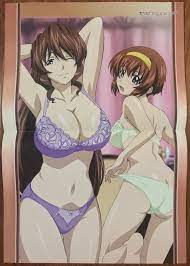 Double Sided Anime Poster: Tonagura, Inukami! | eBay