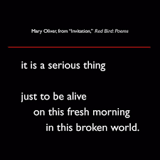 Mary Oliver From Invitation Red Bird Poems Quote Poetry Lit Maryoliver Redbird Poems Quotes Words