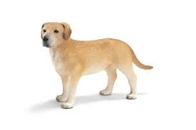 amazon com schleich male labrador toy figure toys games labrador toys labrador dog toys
