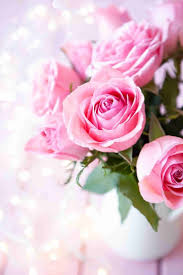Rose Wallpaper For Mobile Phone In 2020 White Rose Flower Pink Rose Flower Love Rose Flower