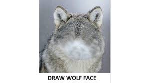 Dieses & viele weitere englische bücher versandkostenfrei bei thalia bestellen! Draw Wolf Face Know Your Meme