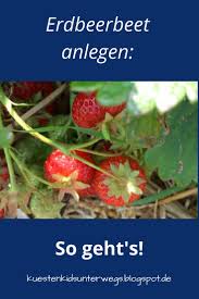 Unterwegs Im Garten Erdbeerbeet Anlegen Erdbeerbeet Erdbeeren Pflanzen Erdbeerpflanzen