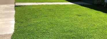 Free shipping on qualified orders. Midwest Gardening Landscape Planning Care