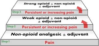 Pharmacogenetics Of Chronic Pain Management Sciencedirect