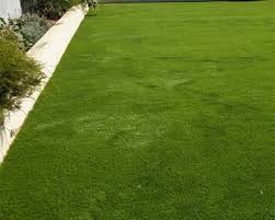 Maybe you would like to learn more about one of these? Artificial Grass Synthetic Lawns Artificial Putting Greens San Diego Ca