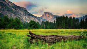 Ultra Hd Wallpaper 8k Resolution 7680x4320 Nature Landscape Wallpaper Tree Landscape Wallpaper Mountain Wallpaper