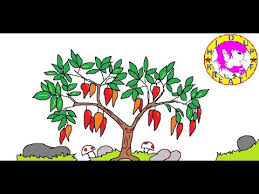 Maybe you would like to learn more about one of these? 14 Gambar Sketsa Pohon Cabe