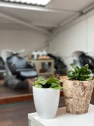 Our permanent hair color lines give 100% grey coverage. Tabitha James Kraan Organic Hair Salon Videos Facebook