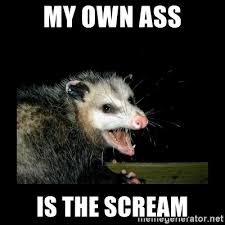My Own Ass Is The Scream Possum Meme Generator