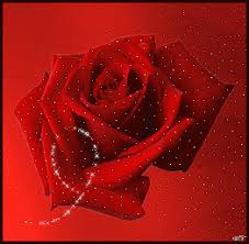 Https Encrypted Tbn0 Gstatic Com Images Q Tbn 3aand9gcrvfdghkvlbinfc2o9r6acji2jg0ynnjmr Gw Usqp Cau