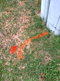 Sinkholes are places where the ground has collapsed into an opening formed underground. Filling In A Sinkhole And Leveling My Yard Part 1 Of 3 Ugly Duckling House