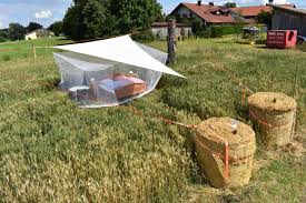Die grillen s a ingen und es duftet. Open Air Bett Im Kornfeld Vermietung Finning