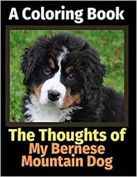Bernese mountain dog coloring page from dogs category. Amazon Com The Thoughts Of My Bernese Mountain Dog A Coloring Book 9781712248324 Activity Books Brightview Books