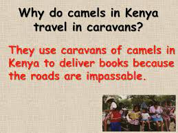 My librarian is a camel. My Librarian Is A Camel Review Ppt Video Online Download