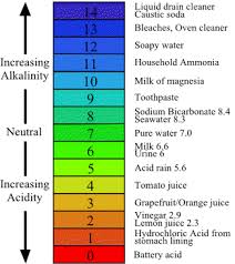 ph level neutral acidic or basic derya sunkel