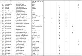 Image result for Schlechterina mitostemmatoides
