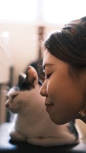 22nd Macao City Fringe Festival kicks off next week injecting artistic  vitality throughout the city