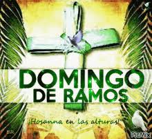 Ramos pacíficos para denunciar toda injusticia, para combatir toda opresión, para borrar toda frontera, para superar cuanto divide a los. Domingo De Ramos Gifs Tenor