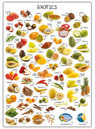 Poster Alle Exoten Health And Nutrition Poster Design Nutrition