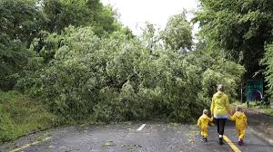 In teilen der schweiz sind am donnerstag erneut heftige gewitter mit hagel niedergegangen. Luzern Heftiges Gewitter Hinterlasst Spur Der Verwustung