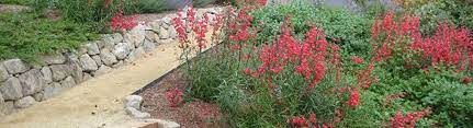 Calvin craig landscaping, walnut creek, ca. Calvin Craig Landscaping Pleasant Hill Ca Alignable