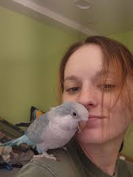 Breaking News: Larry Bird's lovely wife involve in a terrible car accident  today that Leads to…..