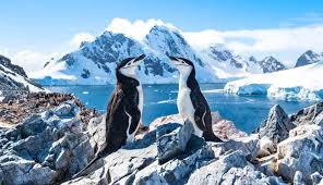 Because of this, everyone should have insurance. Countries That Require Travel Insurance W Covid Coverage